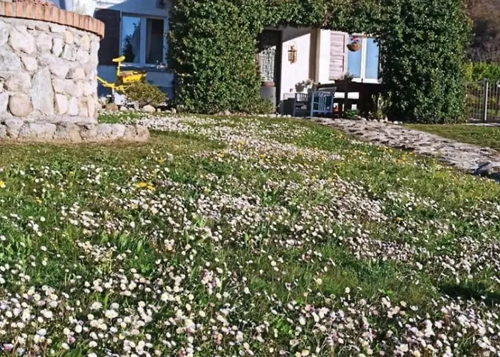 Panoramic Valley